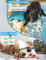 Decyam 4er-Pack Hundespielzeug aus Baumwolle – Kauspielzeug für Welpen & kleine Hunde – Bild 6