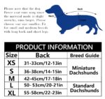 Morezi Winterhundejacke M mit Flusenfutter & Klettverschluss – Wärmeschutz für kleine Hunde – Bild 6