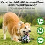 HETOO Hundeball mit Seil (M Grün) – Interaktives Hundespielzeug für Outdoor & Indoor – Bild 4