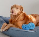 Fuzzl Ozzie der Oktopus – Quietsch-Hundespielzeug mit 4 Quietschern für alle Grössen – Bild 7