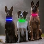Colaseeme LED-Leuchthalsband Hund M – USB-C aufladbar, 3 Leuchtmodi, wasserdicht – Bild 6