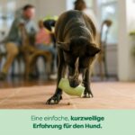 Earth Rated Leckerlihalter Gross – Interaktives Hundespielzeug aus Naturgummi für mentale Stimulation – Bild 4