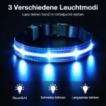 MASBRILL LED-Hundehalsband aufladbar – Sichtbarkeit bis 500 m für nächtliche Spaziergänge – Bild 2
