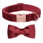 ARING PET Samt-Hundehalsband mit Schleife – Weiches Halsband für kleine & mittlere Hunde