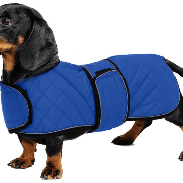 Geyecete Wintermantel für Dackel – Wasserdichter Hundemantel mit Fleecefutter Grösse M