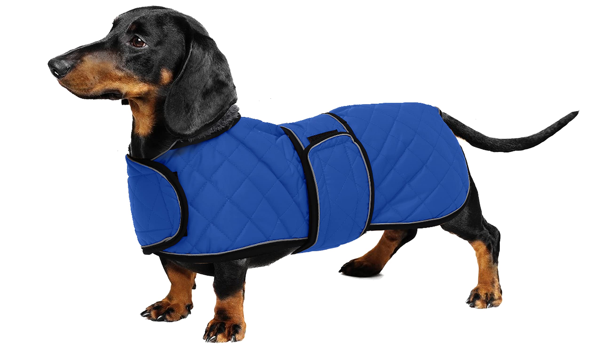 Geyecete Wintermantel für Dackel – Wasserdichter Hundemantel mit Fleecefutter Grösse M