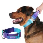 Spark Paws Taktisches Hundehalsband 5cm – Robust & Komfortabel für Grosse Hunde