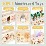 Vanplay 6-in-1 Montessori Holzspielzeug ab 1 Jahr – Motorikspielzeug für Kleinkinder – Bild 4