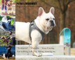 PETKIT P008 EVERSWEET 400ml Hundetrinkflasche – Leckdicht & tragbar für unterwegs – Bild 9