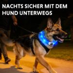 LaRoo LED Hundehalsband USB-Wiederaufladbar – Sicherheit & Sichtbarkeit bis 500m für Nachtspaziergänge – Bild 2