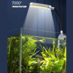 Craftsboys 5.5L Nano-Aquarium mit Filter & LED – Aquascape Starter-Kit für Anfänger – Bild 9