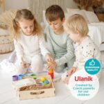 Ulanik Holz-Sortierset mit 12 Kugeln & Bechern – Montessori Spielzeug ab 1 Jahr – Bild 4