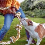 110 cm Hundeseilspielzeug mit 6 Knoten – Robustes Kauspielzeug für aggressive Kauer – Bild 6
