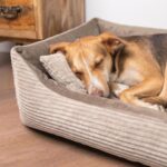 4L Textil Molly Cord Hundebett 100x80 cm – Maschinenwaschbar für mittelgrosse Hunde – Bild 2