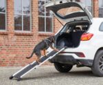 Knuffelwuff Hunderampe 70-158cm – Ausziehbare Teleskoprampe mit Sicherheitsgeländer für Autos – Bild 9