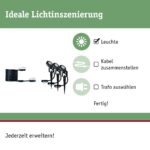 Paulmann Plug & Shine LED Gartenspieß Sting 3x6W dimmbar – Anthrazit Außenleuchte IP67 – Bild 2