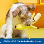 Barkbox Bananen 2-in-1 Hundespielzeug klein – interaktives Plüsch-Spielzeug mit Quietscher – Bild 5