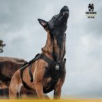 OneTigris T-Bone Hundegeschirr M – Taktisches Brustgeschirr mit 2 Griffen für Hunde – Bild 9
