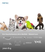 PET.TEC Cam 360° Haustierkamera – Full HD mit Bewegungserkennung & App ohne Abo – Bild 7