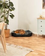lionto Hundebett 90 x 70 cm mit Wendekissen – Komfortables Hundekörbchen für Hunde & Katzen – Bild 2