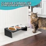 Lannvan Katzennapf Erhöht 3er Set – Keramik Futterstation mit 15° Neigung für Katzen & kleine Hunde – Bild 3