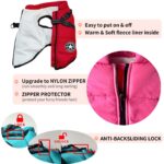 Oncpcare Hundemantel mit Geschirr – Winterjacke für kleine Hunde & Katzen – Bild 4
