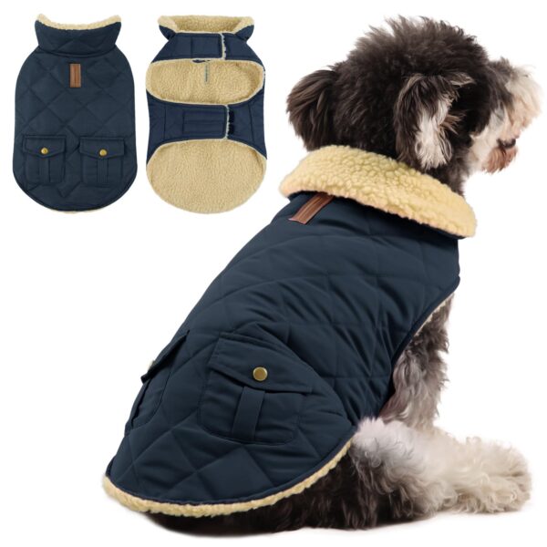Queenmore Wintermantel für Hunde – Wasserdicht & wärmend für Mittelgrosse Rassen