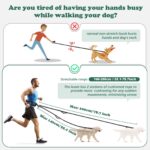 Heelay Joggingleine mit Bauchgurt & Hüfttasche – Freihandleine für alle Hundegrössen – Bild 3