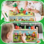 Fajiabao Montessori Holzspielzeug 7-in-1 mit Hammerspiel & Xylophon – Lernspielzeug ab 1 Jahr – Bild 5