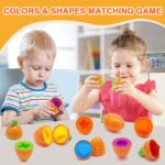 MOONTOY Montessori Sortierspielzeug – 12er Karotten-Eier Set für Kleinkinder ab 1 Jahr – Bild 5