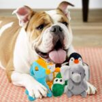 SHARLOVY Hunde Squeaky Spielzeug 12er Set – Plüsch Kauspielzeug für kleine Hunde & Welpen – Bild 9