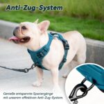 PoyPet No-Pull Hundegeschirr M – Reflektierendes Brustgeschirr ohne Würgen für Mittelgrosse Hunde – Bild 6