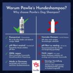 Pawlie's Hundeshampoo Weisses Fell – Aufhellende Fellpflege für Malteser, Pudel & Co. – Bild 7