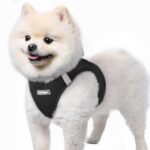 rabbitgoo Hundegeschirr Grösse S mit Air-Mesh – Step-In Ausbruchsicher für kleine Hunde