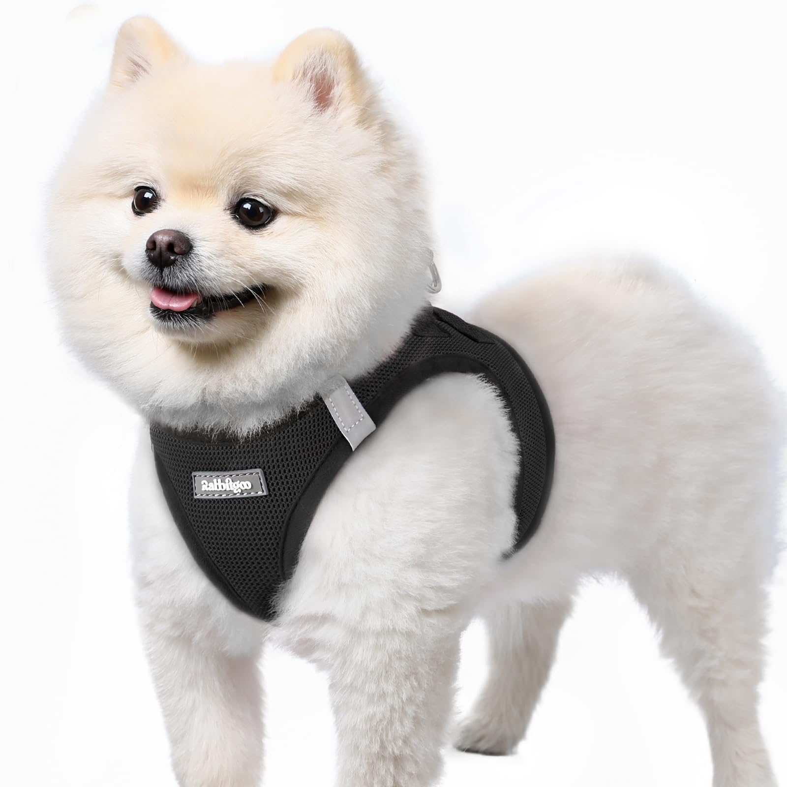 rabbitgoo Hundegeschirr Grösse S mit Air-Mesh – Step-In Ausbruchsicher für kleine Hunde