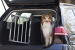 TRIXIE Aluminium Hunde-Transportbox S – 48x56x61 cm, bruchsicher für sicheres Reisen – Bild 5