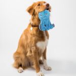 Fuzzl Ozzie der Oktopus – Quietsch-Hundespielzeug mit 4 Quietschern für alle Grössen – Bild 6