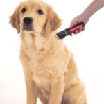 Sminiker Profi Tierhaarschneidemaschine – Ultraleise & Kabellos für Hunde, Katzen & Pferde – Bild 7