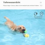 Interaktives Hundehalsband mit 3 Modi – Wasserdicht & bis 800m Reichweite für alle Grössen – Bild 6