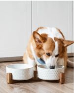 LE TAUCI Keramik Hundenapf-Set mit Akazienholzständer – 430 ml für Welpen & Katzen – Bild 9