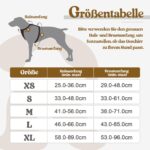 rabbitgoo Hundegeschirr Grösse L – Anti-Zug mit Griff für grosse Hunde – Bild 2