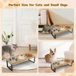 KoolYouth Katzennapf 3er Set mit 15° Holzständer – Ergonomische Futterstation für Katzen & kleine Hunde – Bild 7