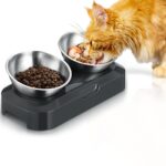 PewinGo Katzennapf mit 15° Kipphals – Edelstahl Futternapf mit rutschfester Silikonbasis