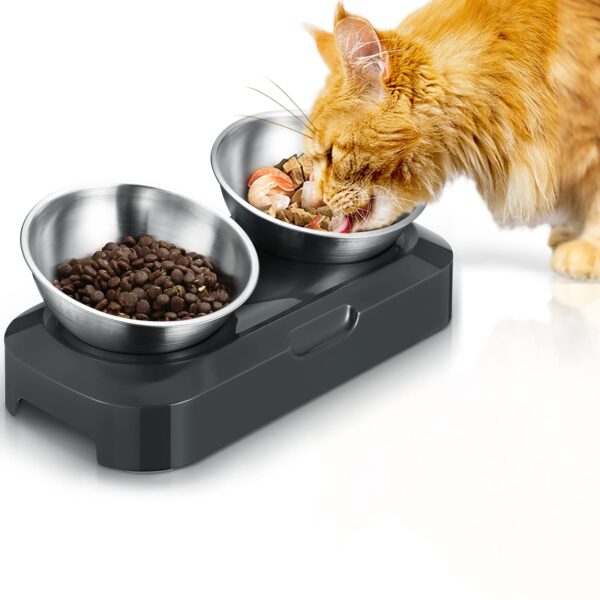 PewinGo Katzennapf mit 15° Kipphals – Edelstahl Futternapf mit rutschfester Silikonbasis