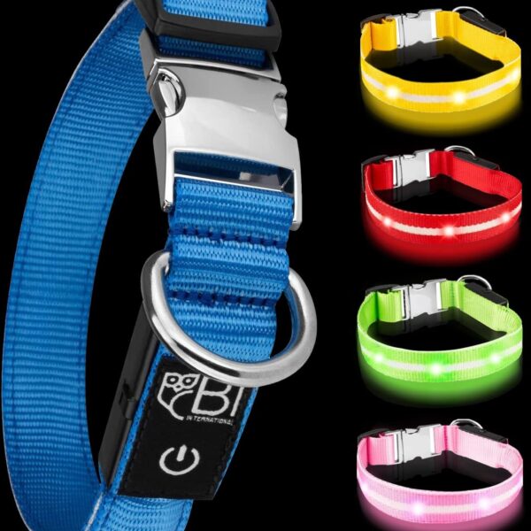 LED Leuchthalsband für Hunde Grösse M – USB-aufladbar mit 10-15h Akkulaufzeit