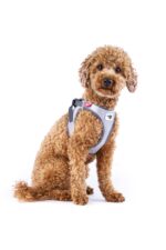 Curli Glow Clasp Vest Harness Reflective Gray S – Sicherheitsgeschirr mit 360° Reflexion – Bild 7