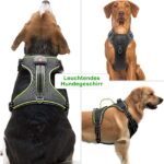 Kpuplol LED-Hundegeschirr wiederaufladbar – Leuchtgeschirr mit No-Pull-Design für alle Grössen – Bild 7