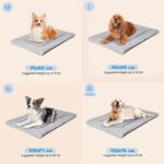 Baodan Hundebett 90x60 cm für Mittlere Hunde – Weiches Kissen mit rutschfester Unterseite – Bild 2