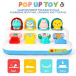 LZDMY Pop-Up Spielzeug ab 12 Monaten – Montessori Motorikspielzeug für frühe Entwicklung – Bild 7