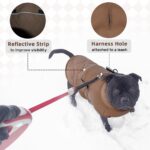 Hjumarayan Hundemantel XXL Wintermantel mit Fleecefutter – Wärmeschutz für grosse Hunde – Bild 5